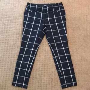 Loft work pants